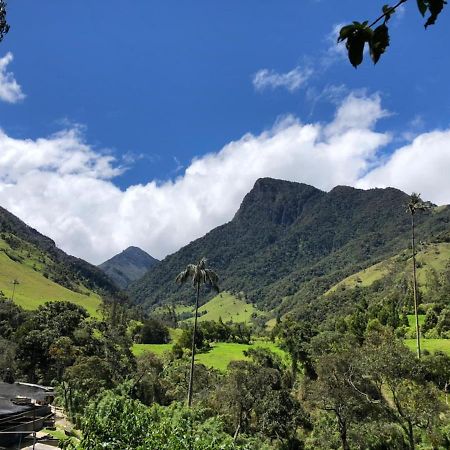 Cabanas Valle Del Cocora La Truchera سالنتو المظهر الخارجي الصورة