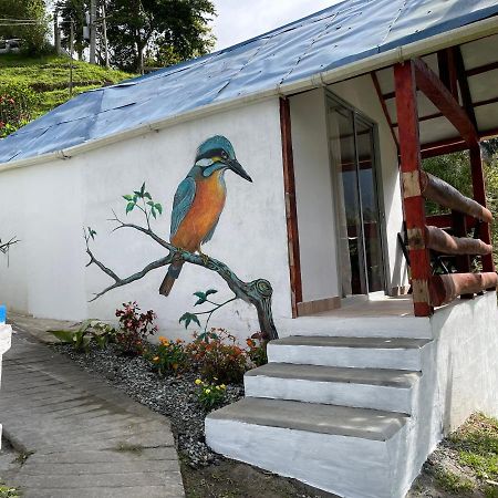 Cabanas Valle Del Cocora La Truchera سالنتو المظهر الخارجي الصورة