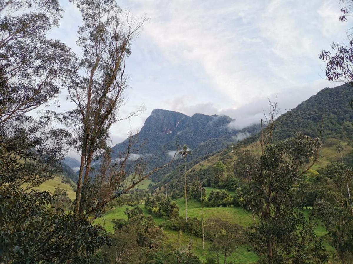 Cabanas Valle Del Cocora La Truchera سالنتو المظهر الخارجي الصورة