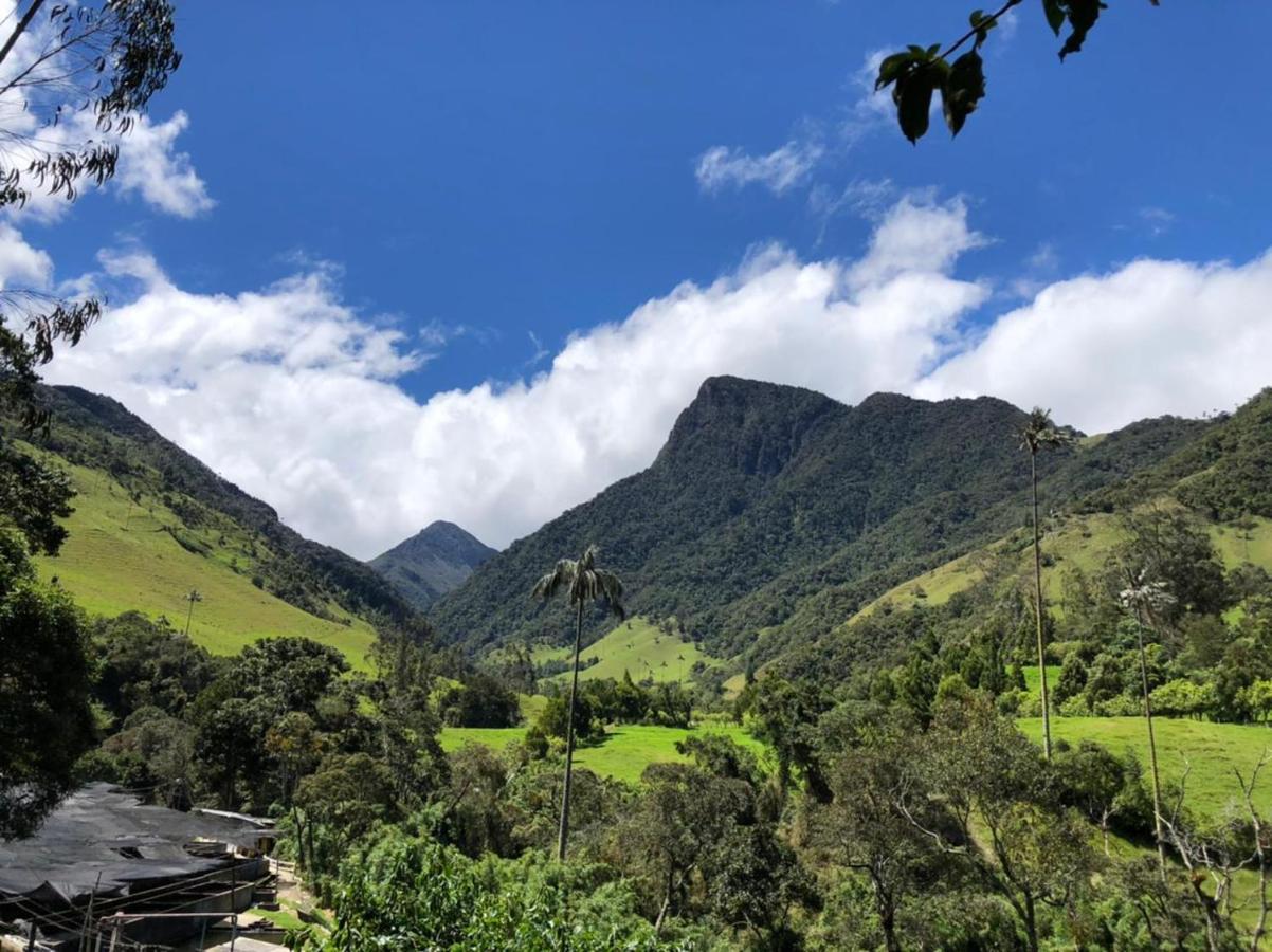 Cabanas Valle Del Cocora La Truchera سالنتو المظهر الخارجي الصورة