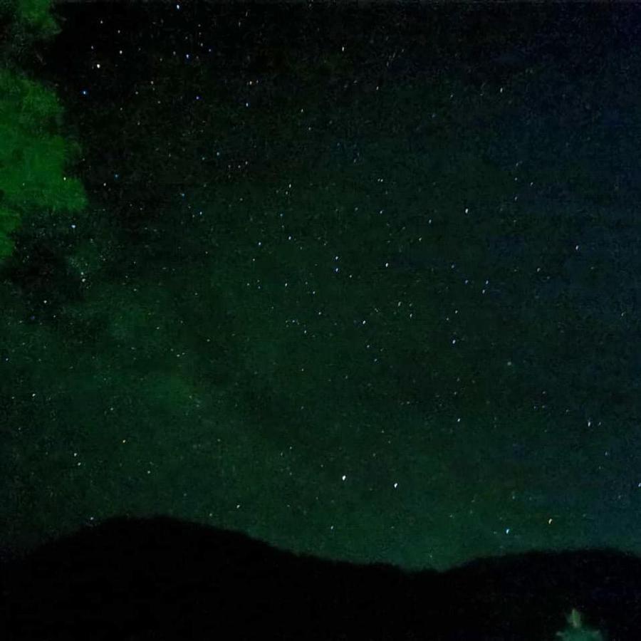 Cabanas Valle Del Cocora La Truchera سالنتو المظهر الخارجي الصورة