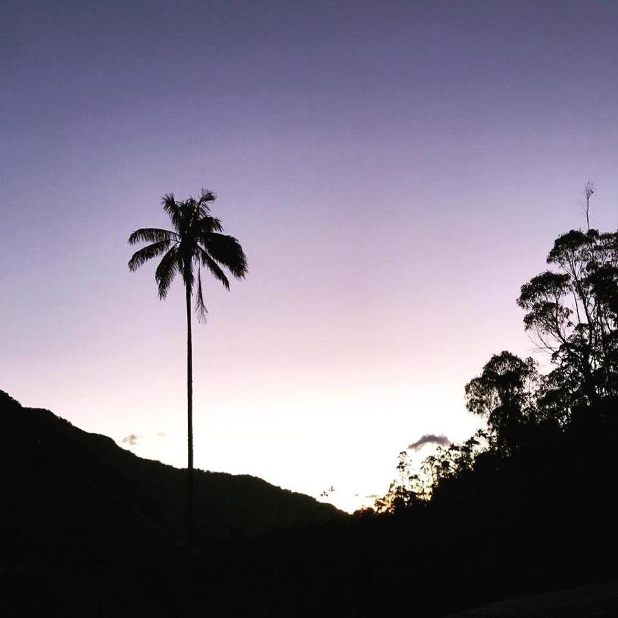 Cabanas Valle Del Cocora La Truchera سالنتو المظهر الخارجي الصورة