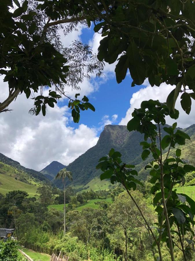 Cabanas Valle Del Cocora La Truchera سالنتو المظهر الخارجي الصورة