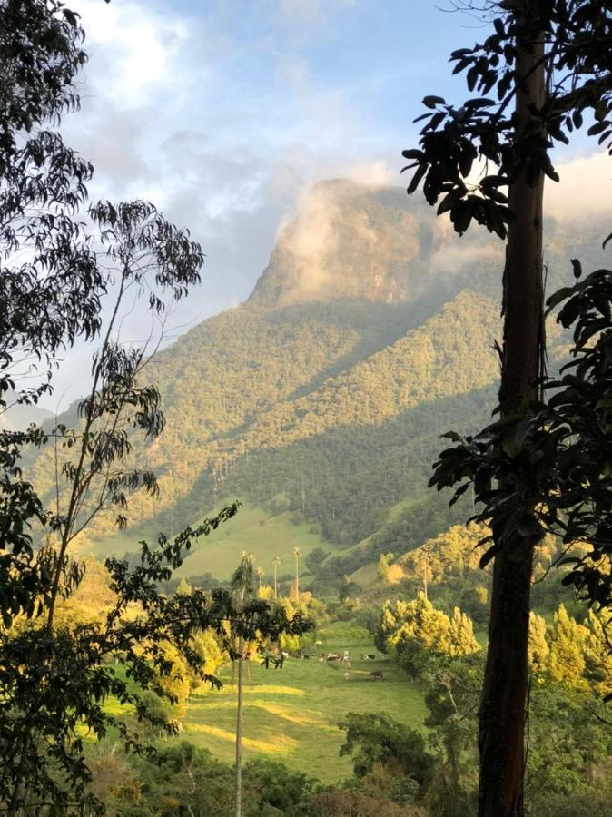 Cabanas Valle Del Cocora La Truchera سالنتو المظهر الخارجي الصورة