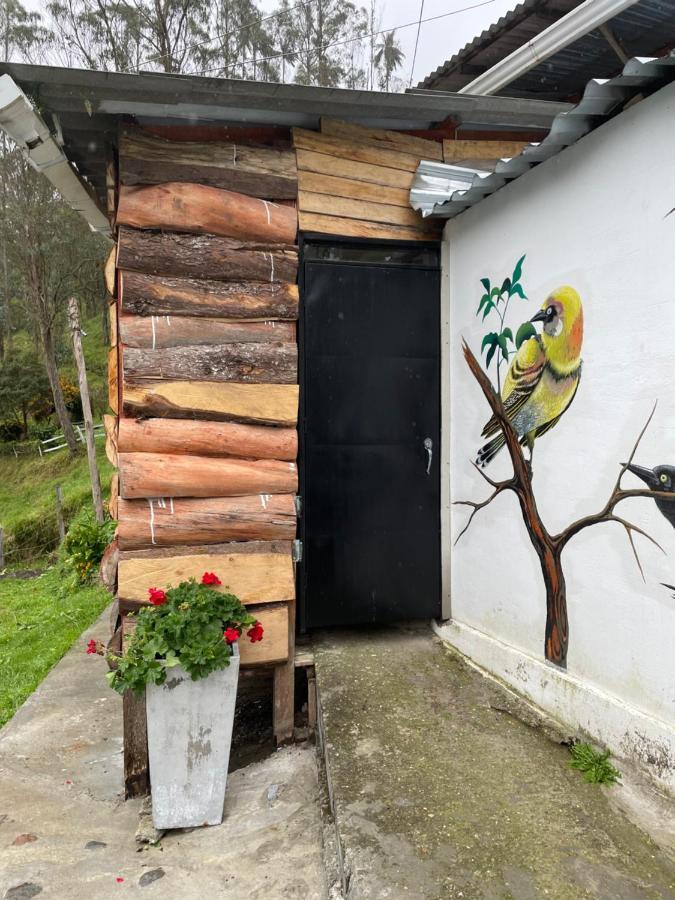 Cabanas Valle Del Cocora La Truchera سالنتو المظهر الخارجي الصورة