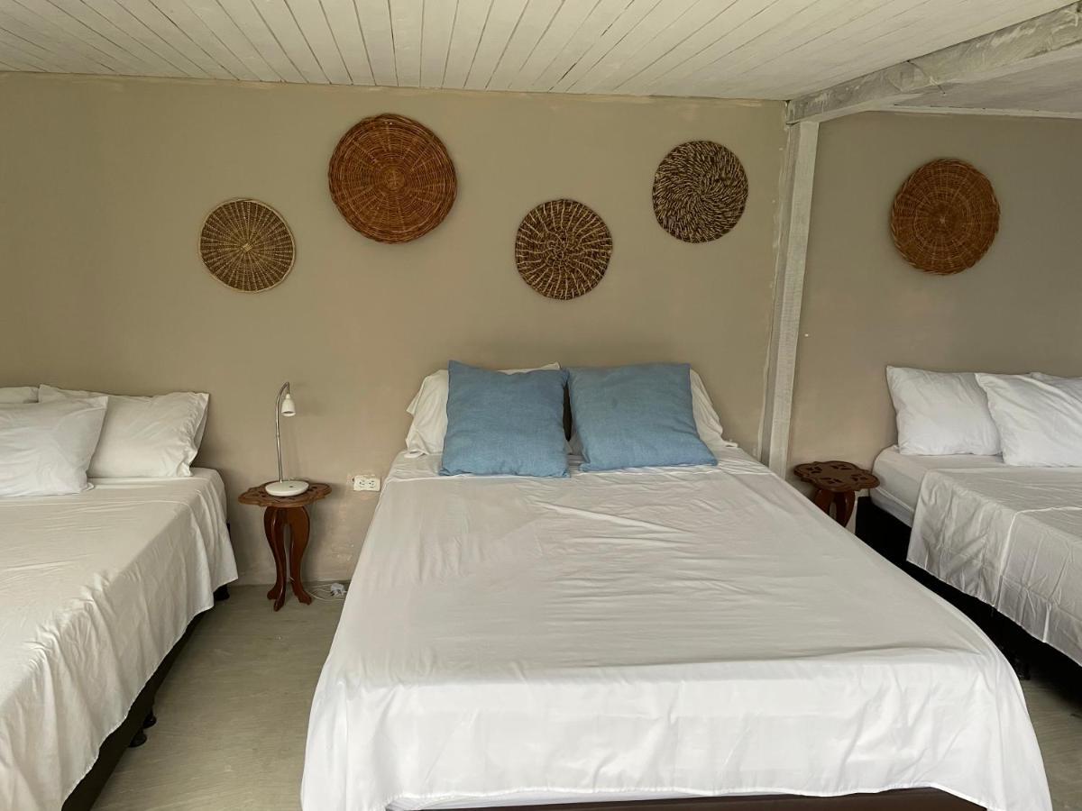 Cabanas Valle Del Cocora La Truchera سالنتو المظهر الخارجي الصورة