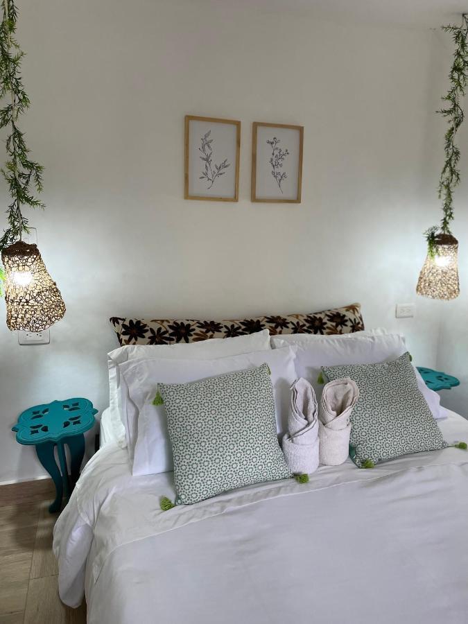 Cabanas Valle Del Cocora La Truchera سالنتو المظهر الخارجي الصورة