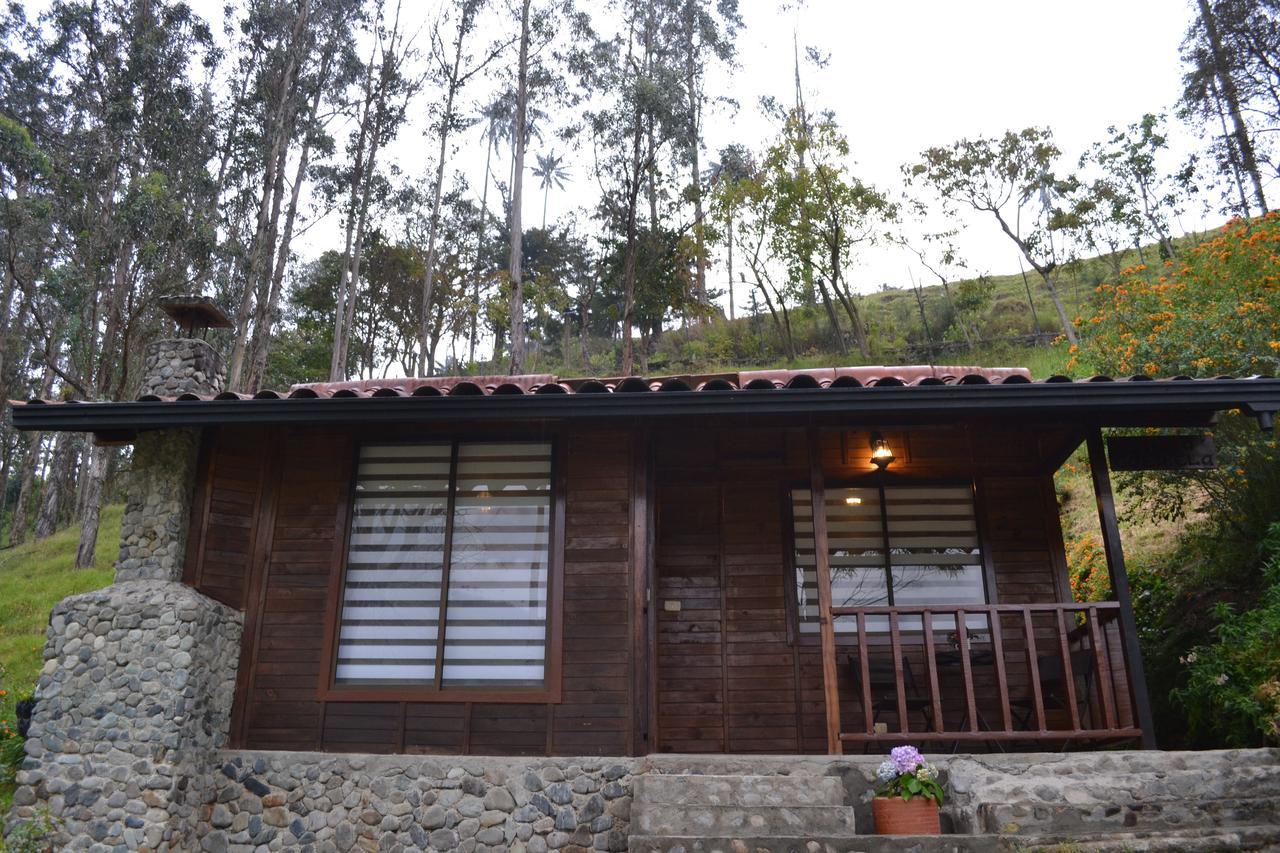 Cabanas Valle Del Cocora La Truchera سالنتو المظهر الخارجي الصورة