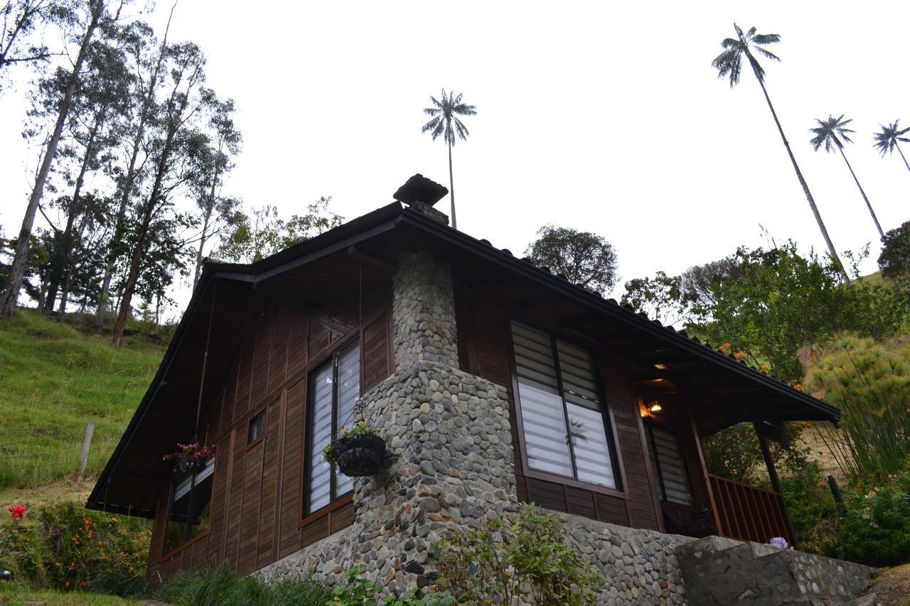 Cabanas Valle Del Cocora La Truchera سالنتو المظهر الخارجي الصورة