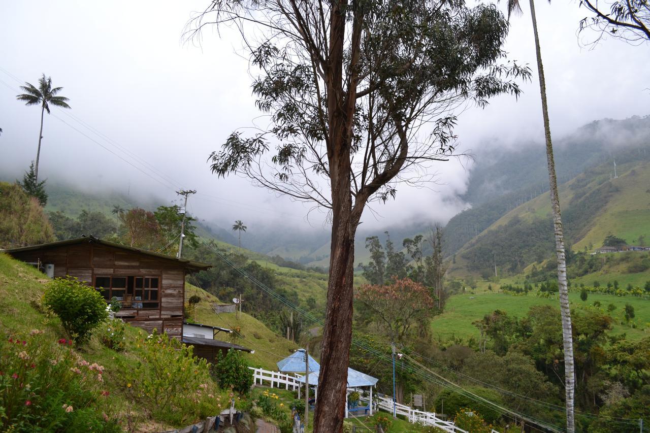 Cabanas Valle Del Cocora La Truchera سالنتو المظهر الخارجي الصورة