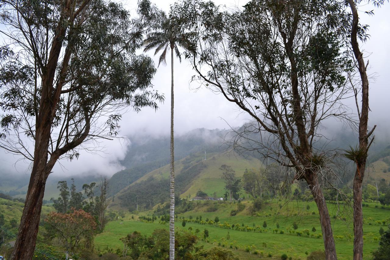 Cabanas Valle Del Cocora La Truchera سالنتو المظهر الخارجي الصورة