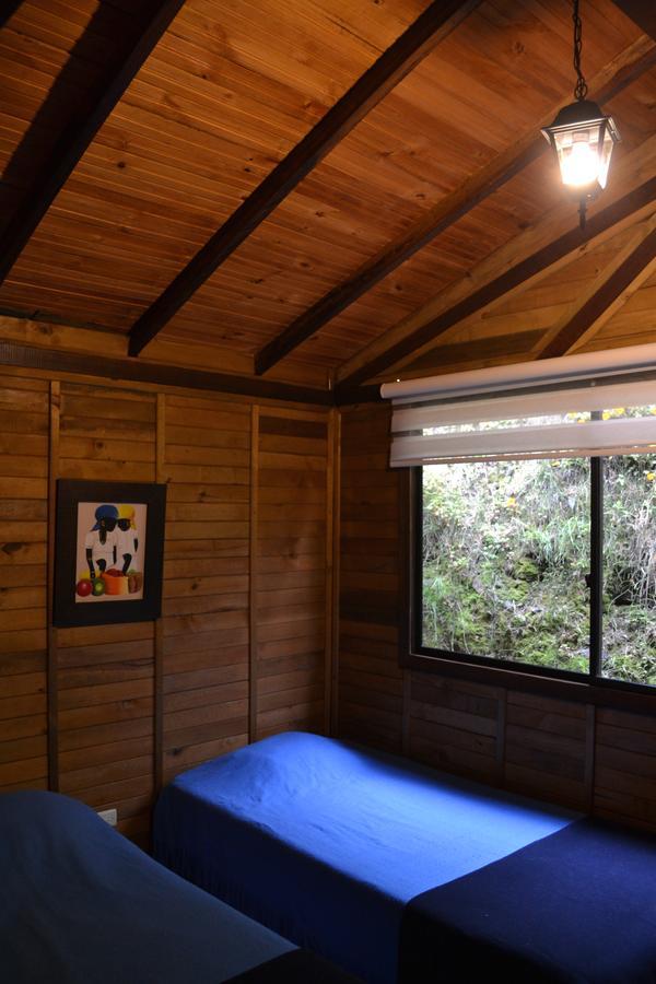 Cabanas Valle Del Cocora La Truchera سالنتو المظهر الخارجي الصورة
