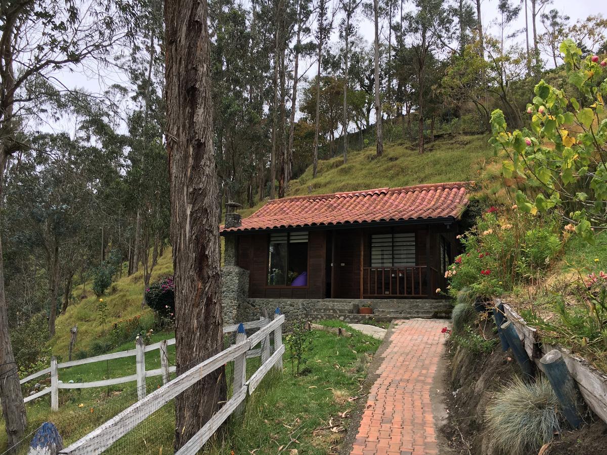 Cabanas Valle Del Cocora La Truchera سالنتو المظهر الخارجي الصورة