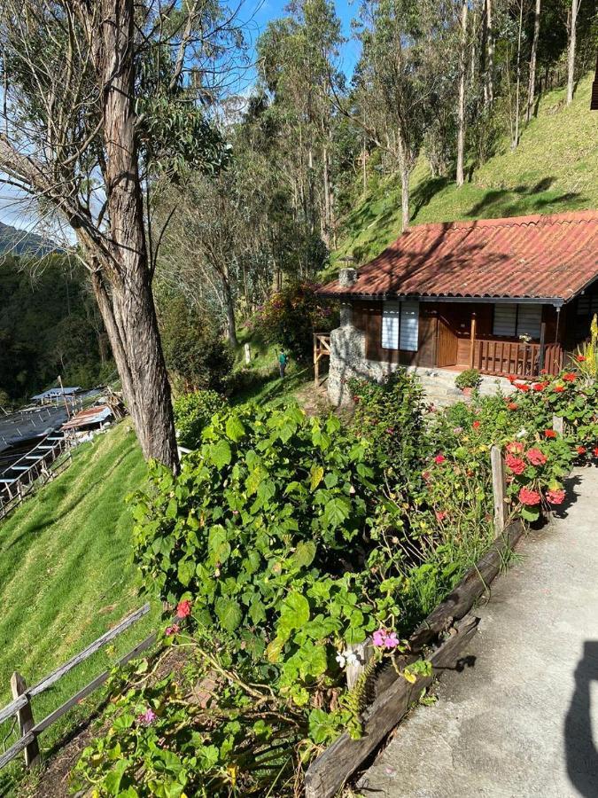Cabanas Valle Del Cocora La Truchera سالنتو المظهر الخارجي الصورة