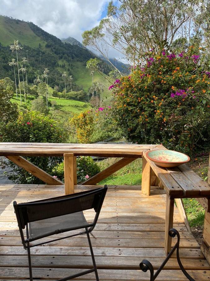 Cabanas Valle Del Cocora La Truchera سالنتو المظهر الخارجي الصورة