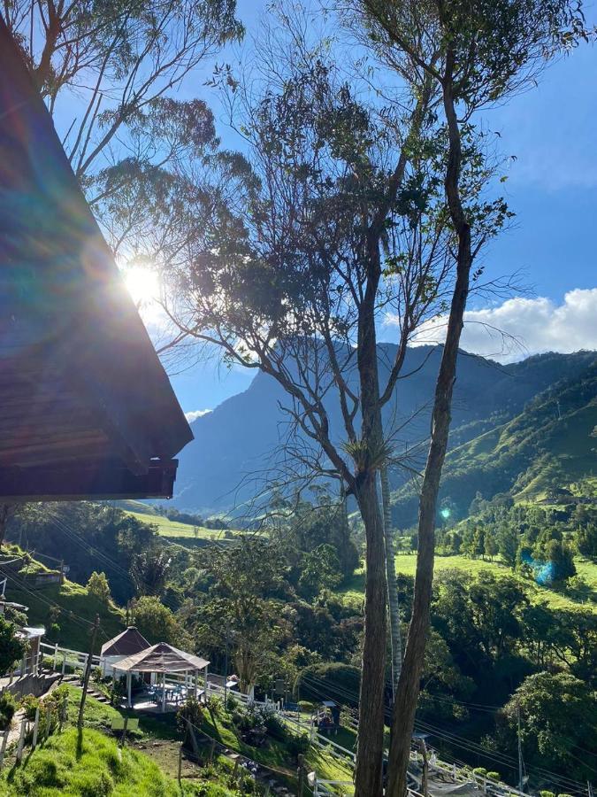 Cabanas Valle Del Cocora La Truchera سالنتو المظهر الخارجي الصورة