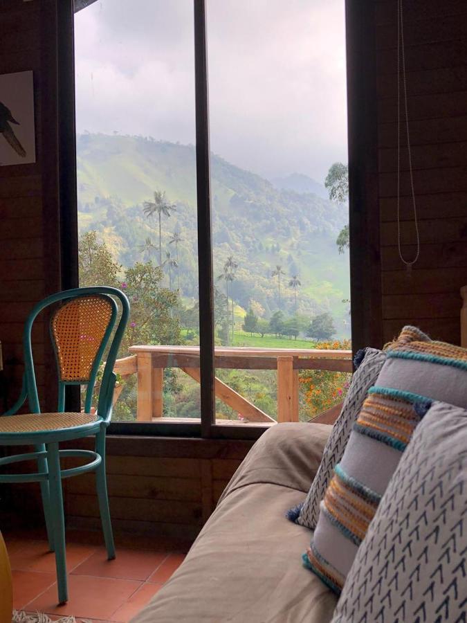 Cabanas Valle Del Cocora La Truchera سالنتو المظهر الخارجي الصورة
