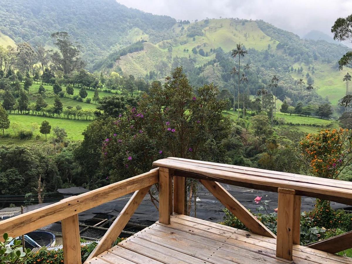 Cabanas Valle Del Cocora La Truchera سالنتو المظهر الخارجي الصورة