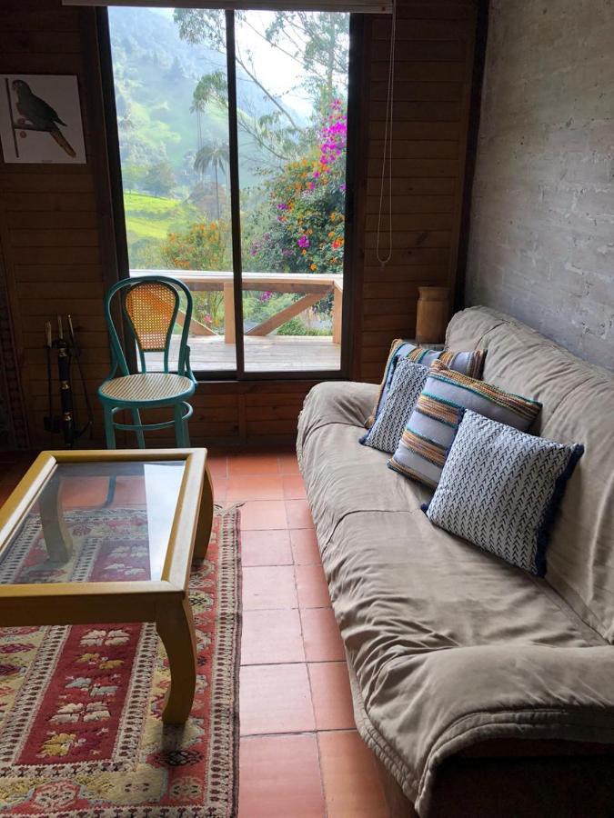 Cabanas Valle Del Cocora La Truchera سالنتو المظهر الخارجي الصورة