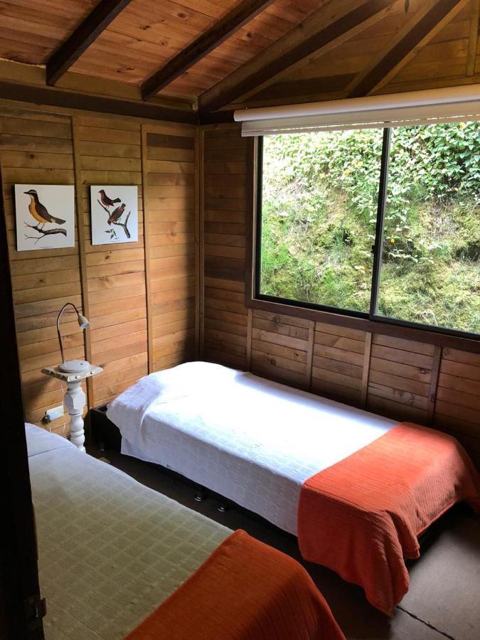 Cabanas Valle Del Cocora La Truchera سالنتو المظهر الخارجي الصورة