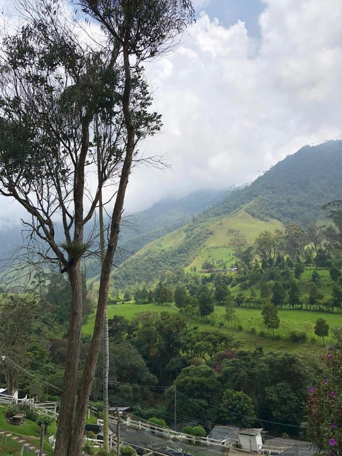 Cabanas Valle Del Cocora La Truchera سالنتو المظهر الخارجي الصورة