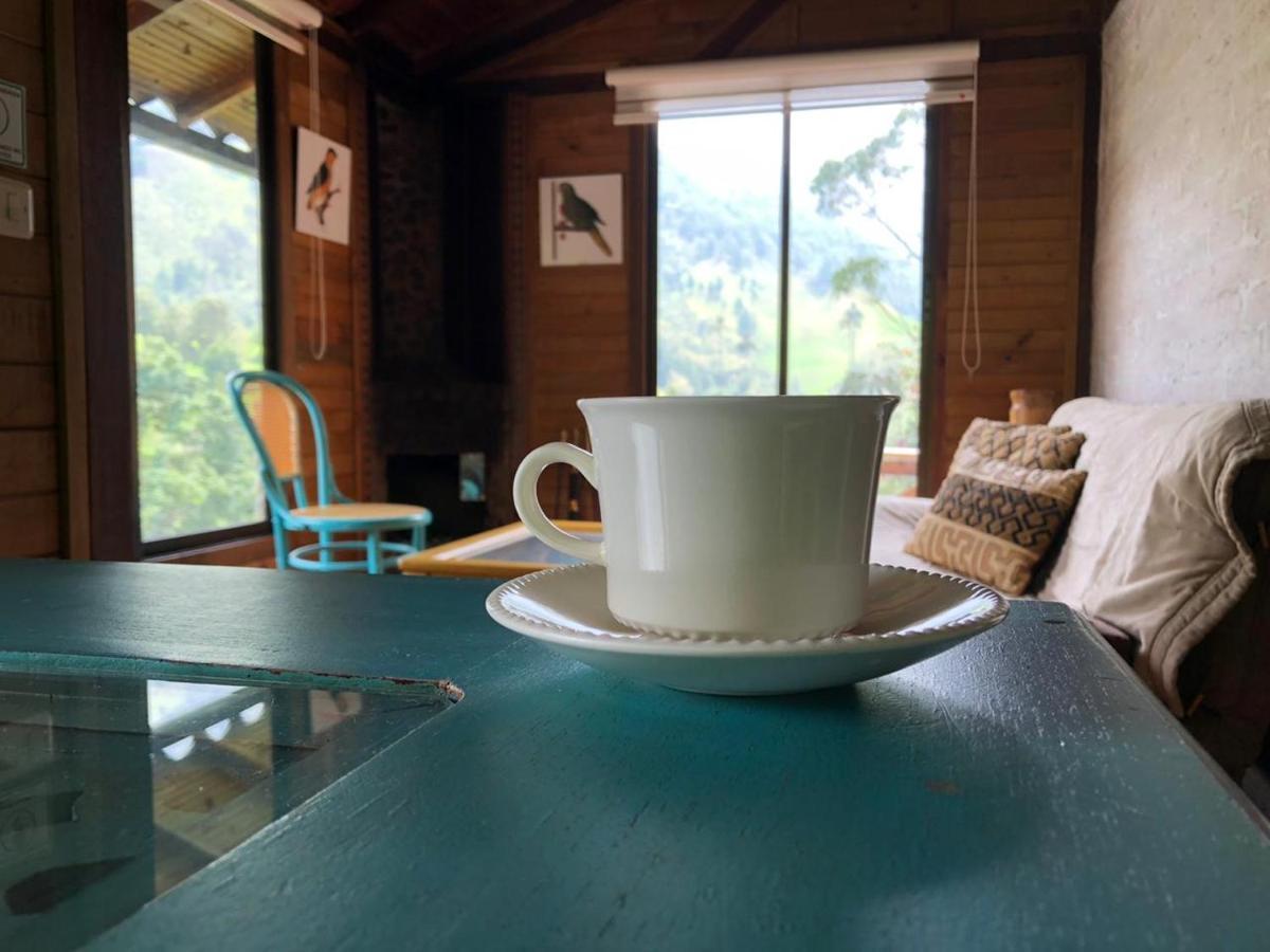Cabanas Valle Del Cocora La Truchera سالنتو المظهر الخارجي الصورة