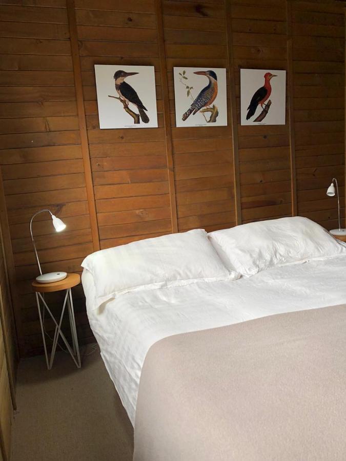 Cabanas Valle Del Cocora La Truchera سالنتو المظهر الخارجي الصورة