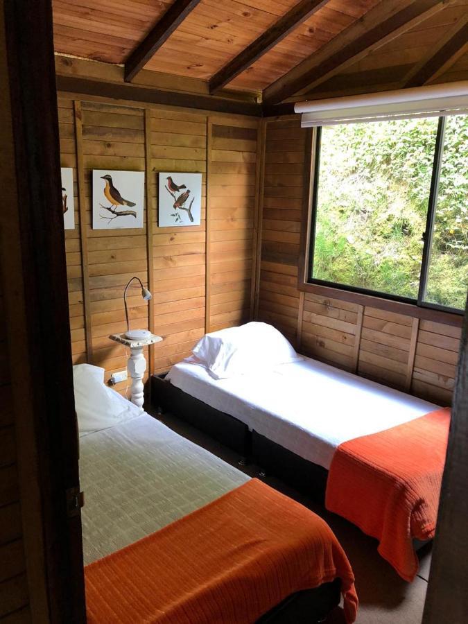 Cabanas Valle Del Cocora La Truchera سالنتو المظهر الخارجي الصورة