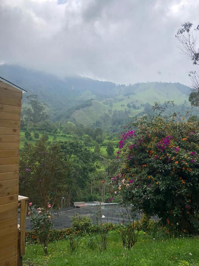 Cabanas Valle Del Cocora La Truchera سالنتو المظهر الخارجي الصورة