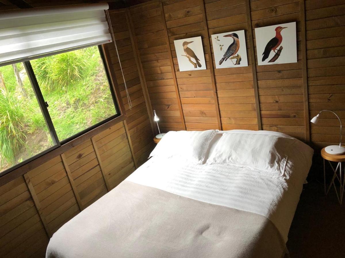 Cabanas Valle Del Cocora La Truchera سالنتو المظهر الخارجي الصورة